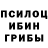 Псилоцибиновые грибы GOLDEN TEACHER Rus Voinov