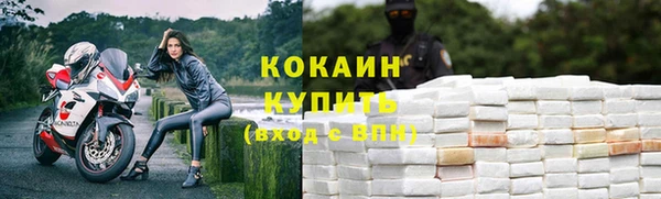 apvp Алексин