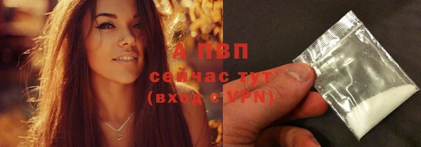 apvp Алексин