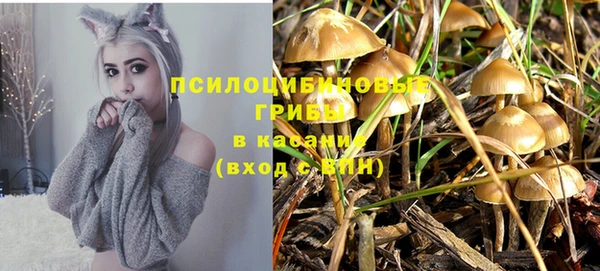 герыч Абаза