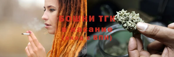 шишки Алексеевка