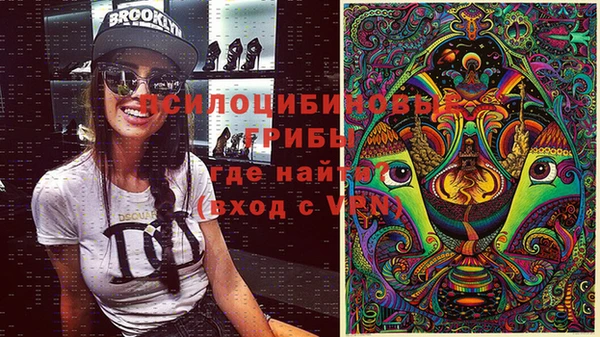 apvp Алексин