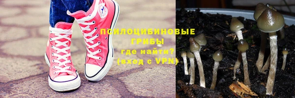 apvp Алексин
