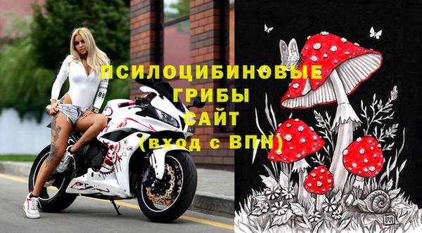 шишки Алексеевка